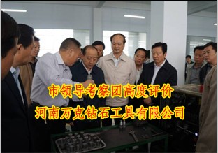 市领导考察团高度评价河南万克钻石工具公司