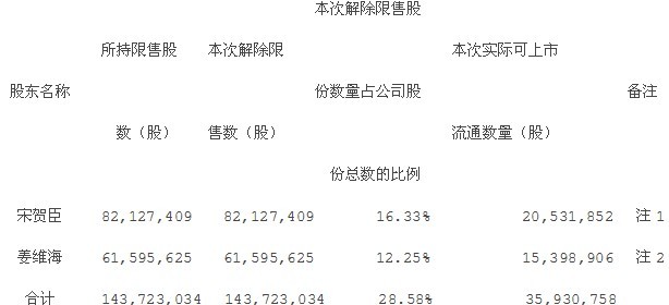 新大新：公开发行前已发行股份上市流通公告