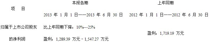 四方达：2013年度半年度业绩预告