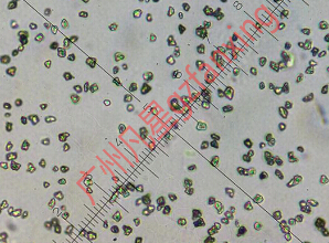 50纳米100纳米 纳米金刚石 nanodiamond