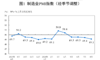 国家统计局： 8月制造业PMI为49.1%