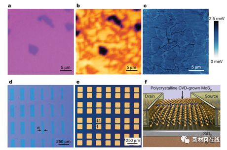 《自然》《科学》一周（2.19-2.25）材料科学前沿要闻