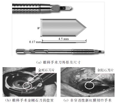 【2018碳材料大会】解析金刚石材料在生物医疗领域中的应用 