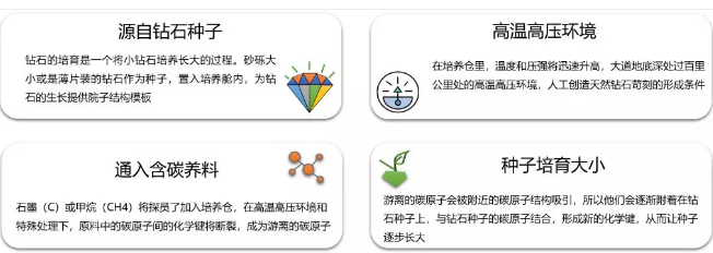 培育钻石之崛起，科技改变未来