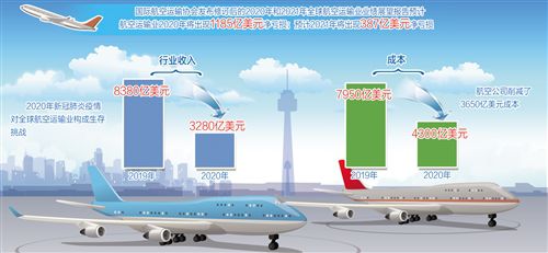 国际航协：明年全球航空业仍将呈亏损态势