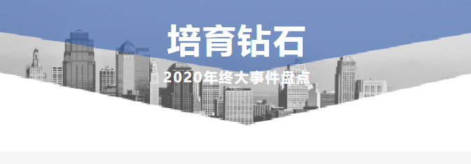 盘点2020年培育钻石大事件