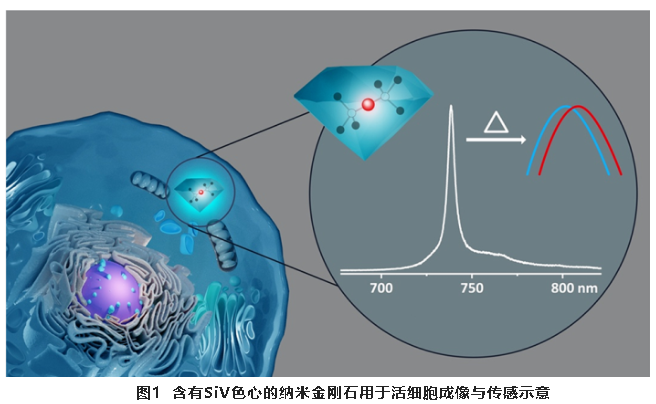 微信截图_20220505082257.png