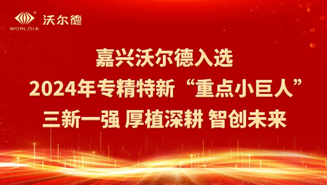 嘉兴沃尔德入选2024年专精特新“重点小巨人”